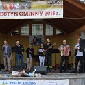 Festyn Gminny 2015 (66)